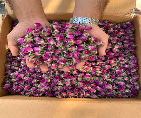بهترین قیمت عمده غنچه گل محمدی خشک شده